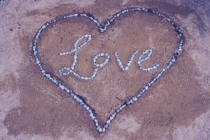 The Love Zone The Love Zone